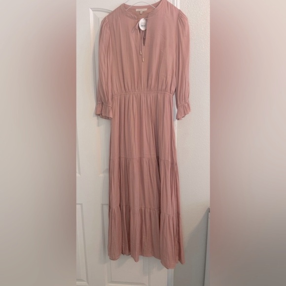 NWT Blush maxi dress - Picture 4 of 4